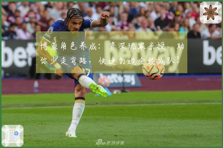 博鱼角色养成：资深玩家亲授，助你少走弯路，快速打造全能战队！