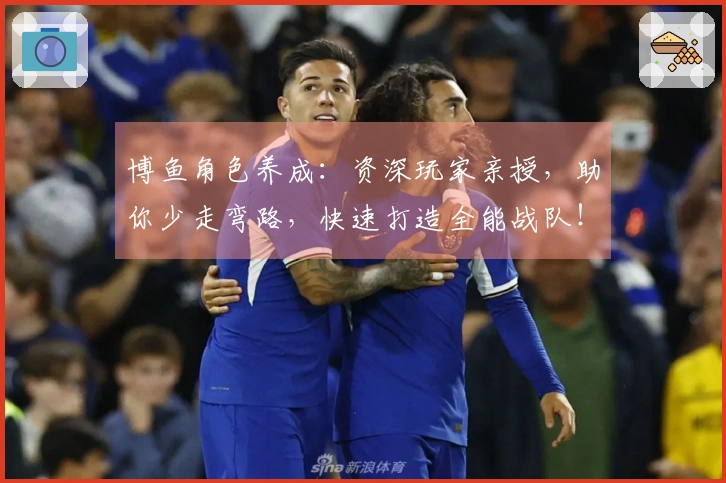 博鱼角色养成：资深玩家亲授，助你少走弯路，快速打造全能战队！