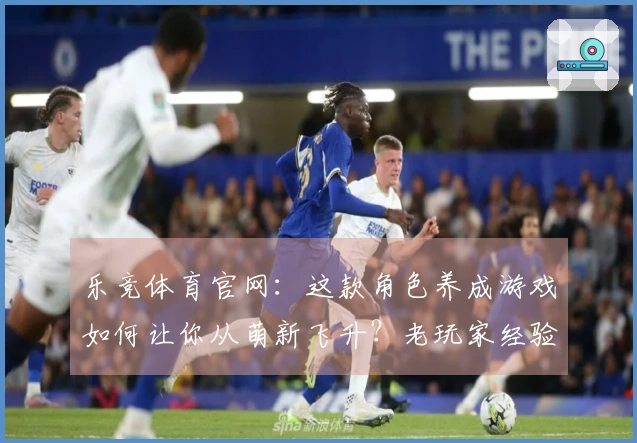 乐竞体育官网：这款角色养成游戏如何让你从萌新飞升？老玩家经验大公开！